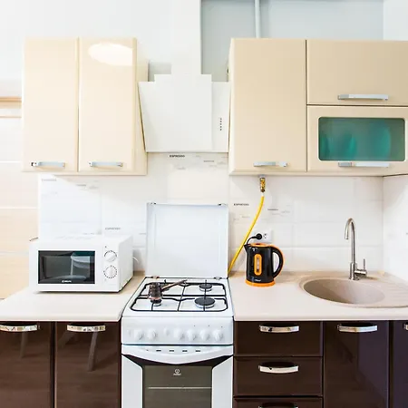 1 кімнатна подобово-погодинно вулиця залізнична 8 біля жд вокзалу Apartment Lviv