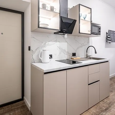 1 кімнатна подобово-погодинно біля жд вокзалу та костелу єлизавети * לבוב